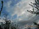 DSCN2262