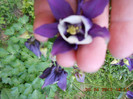 DSCN2273