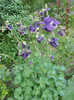 DSCN2275