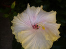 P1120991