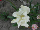 DSCN2357
