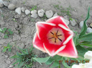 DSCN2359