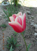 DSCN2360