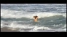Demi Lovato Gets Hit By The Ocean Waves In Rio De Janeiro_ Brazil 458