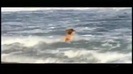 Demi Lovato Gets Hit By The Ocean Waves In Rio De Janeiro_ Brazil 482