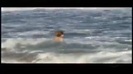 Demi Lovato Gets Hit By The Ocean Waves In Rio De Janeiro_ Brazil 492