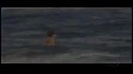Demi Lovato Gets Hit By The Ocean Waves In Rio De Janeiro_ Brazil 499