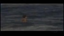 Demi Lovato Gets Hit By The Ocean Waves In Rio De Janeiro_ Brazil 500