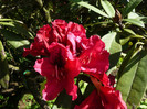 P1520321