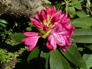 P1520322