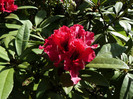 P1520324