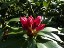 P1520326