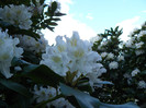 P1520331