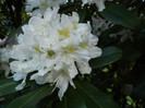 P1520333