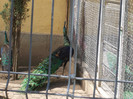 DSCN1201
