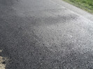 DSC03537