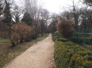 DSCF0674