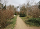 DSCF0675