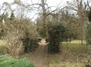 DSCF0678