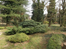 DSCF0682