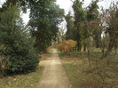 DSCF0685