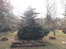 DSCF0686