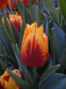 2012, April 26