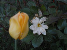 2012, April 26