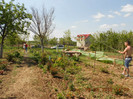 DSCN2487