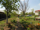 DSCN2494