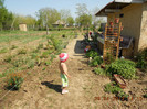 DSCN2496