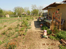 DSCN2502