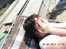 DSCN2530