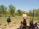 DSCN2546