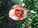 DSCN0756