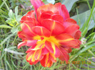 DSCN0757