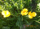 DSCN0759