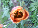 DSCN0760