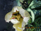 DSCN0761