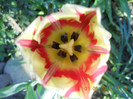 DSCN0762