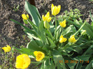 DSCN0764