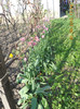 DSCN0765