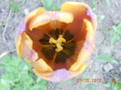 DSCN0769