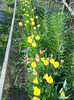 DSCN0775