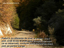 album_4406_78660
