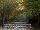 album_4406_78663