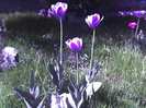 30-04-12_1013