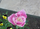 100_9096