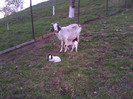 IMG-20120430-00135