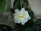 DSC04904